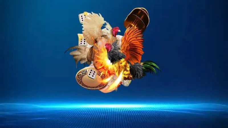 Sức hút của bộ môn đá gà tre tại VIP88